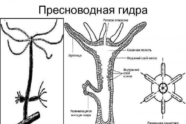 Кракен тор vtor run