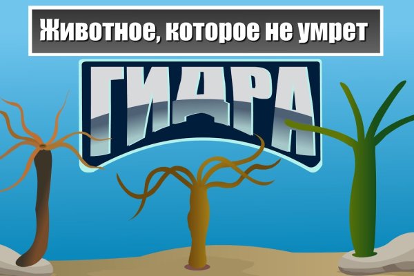 Кракен маркетплейс зайти