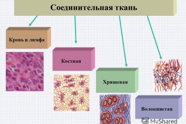 Рабочая ссылка на кракен