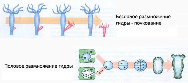 Кракен маркетплейс нарко