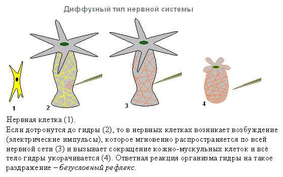 Кракен маркетплейс что